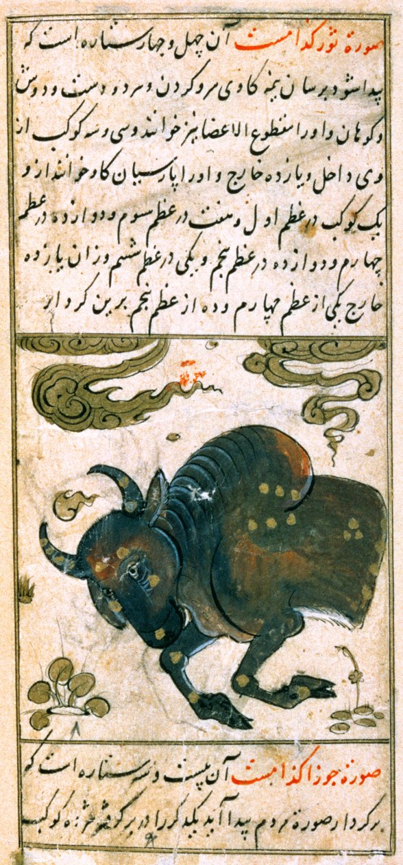 Zodiakens stjärnbilder: Oxen, tjuren, från Talim dar marifat i taqvuim, 1498 (903 Hijra) av Abu Jafar al Tabari