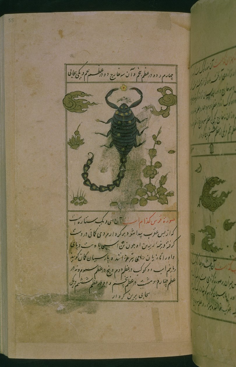 Stjärnbilderna i zodiaken: Skorpionen, skorpionen, från Talim dar marifat i taqvim, 1498 (903 Hijra) (bläck) av Abu Jafar al-Tabari