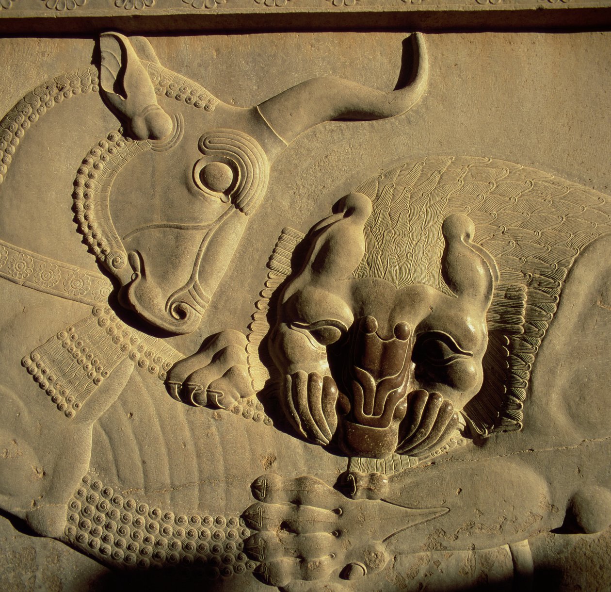 Ett grymt lejon attackerar en tjur, relief från den norra trappfasaden på Tripylon, 500-480 f.Kr. av Achaemenid