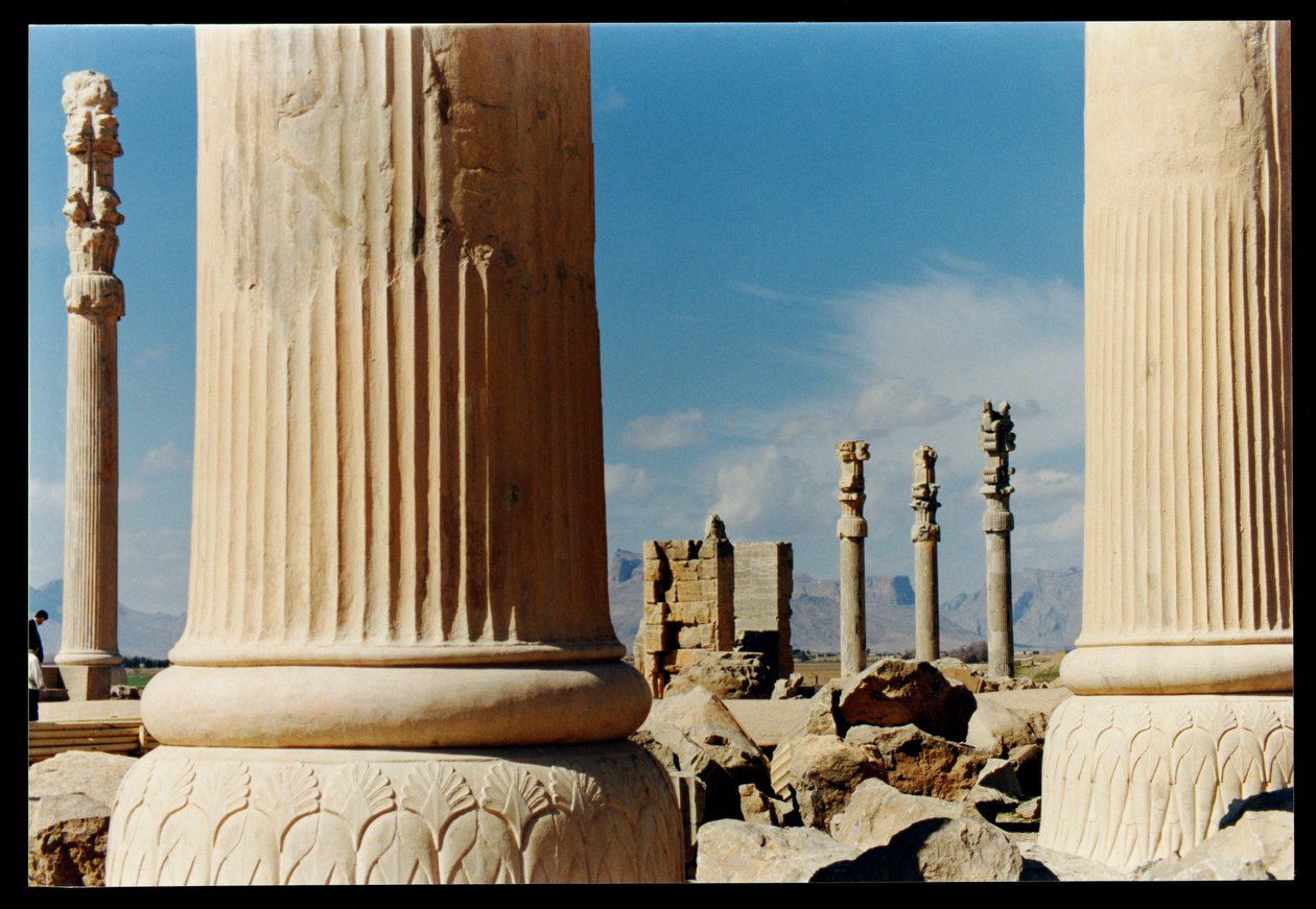 Kolumner från den östra portiken av Apadana, c.500-480 f.Kr av Achaemenid