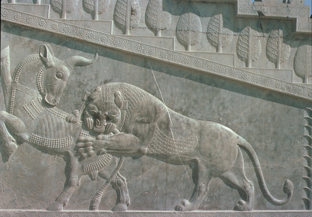 Relief på den östra trappan i Apadana (publikens sal) föreställande ett lejon som slåss mot en tjur, Achaemenian period, c.515 BC (kalksten) av Achaemenid