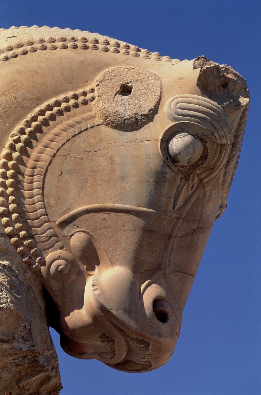 Tjurhuvud på den norra portiken i Xerxes tronsalen av Achaemenid