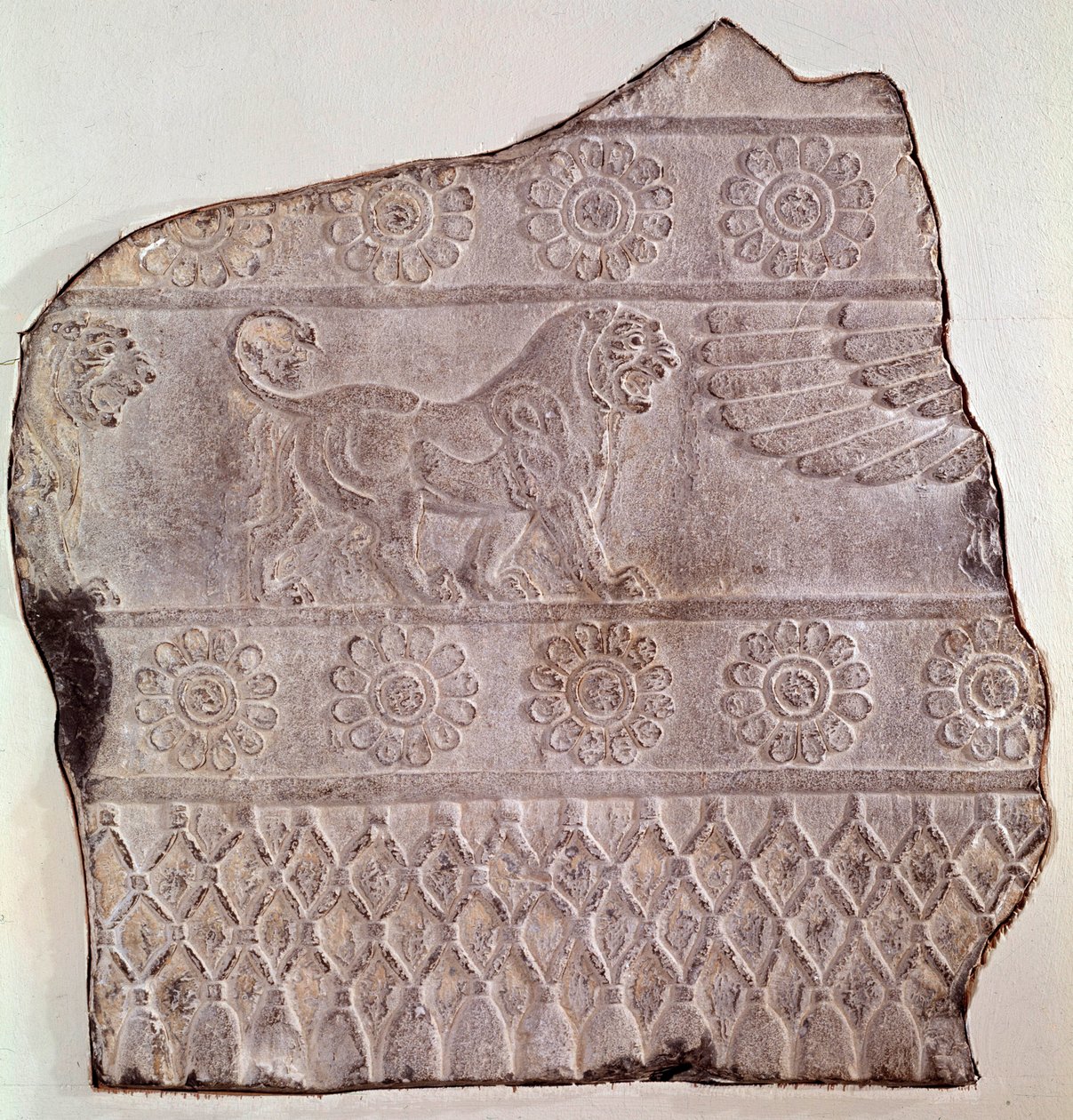 Fragment av låg relief som representerar ett gående lejon. Från Persepolis (Iran) Epoque Routenide, 460 f.Kr. Seattle, konstmuseum av Achaemenid