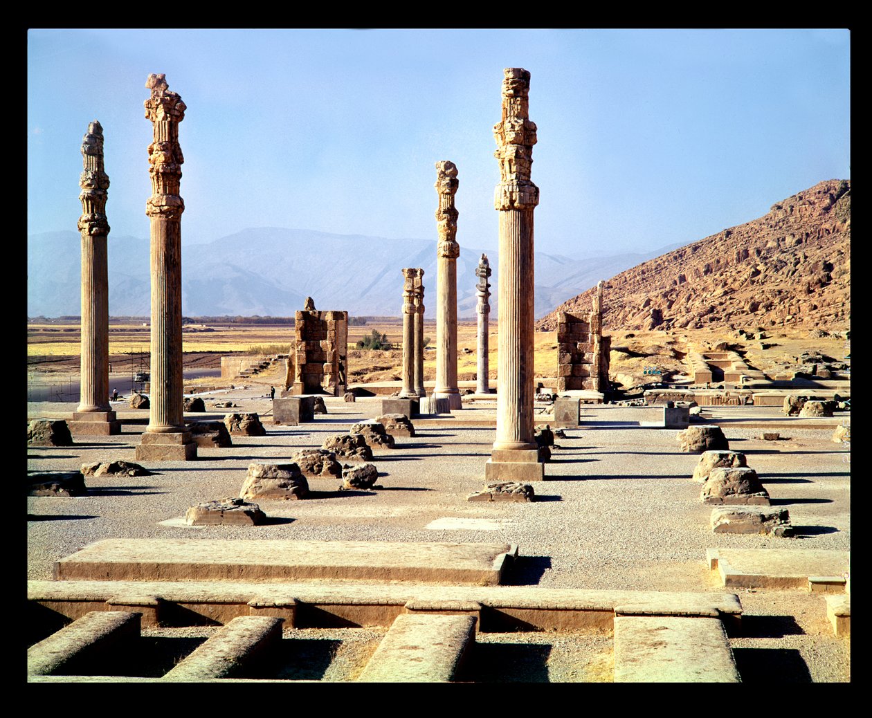 Allmän bild av Apadana (publikens sal) grundad c.518 f.Kr av Achaemenid