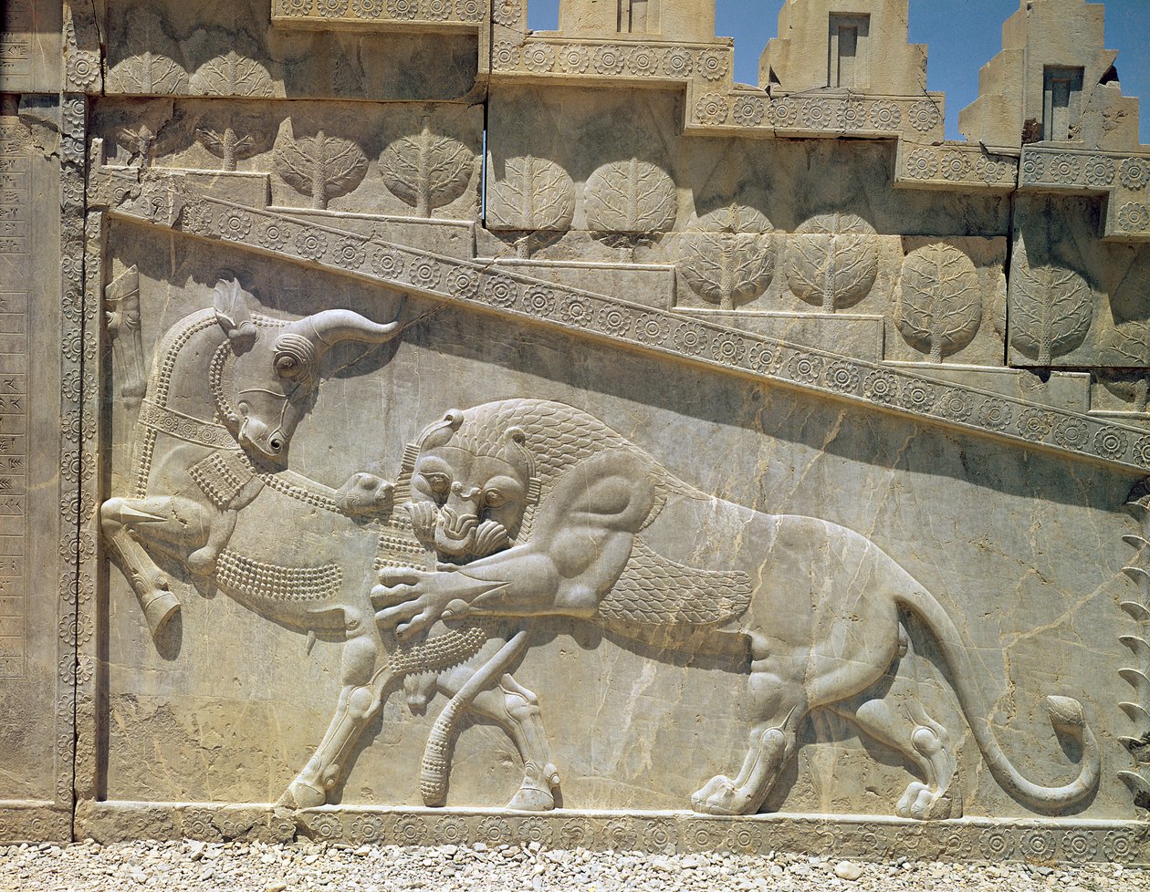 Lejon slåss mot en tjur, relief på den östra trappan i Apadana, Achaemanian Period, c.515 av Achaemenid
