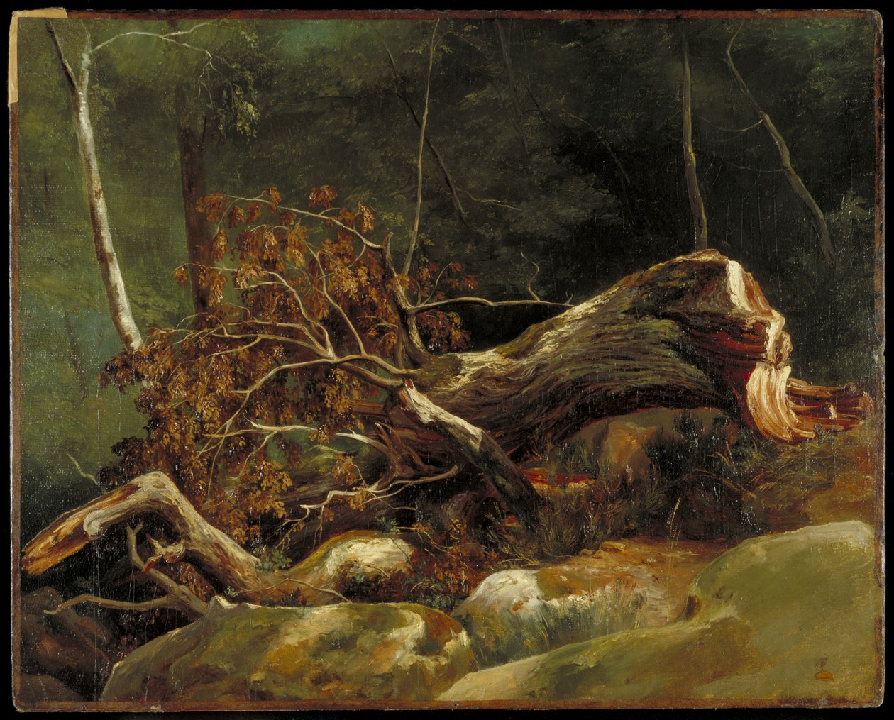 The Fallen Branch, Fontainebleau, ca 1816 (olja på duk på kort) av Achille Etna Michallon