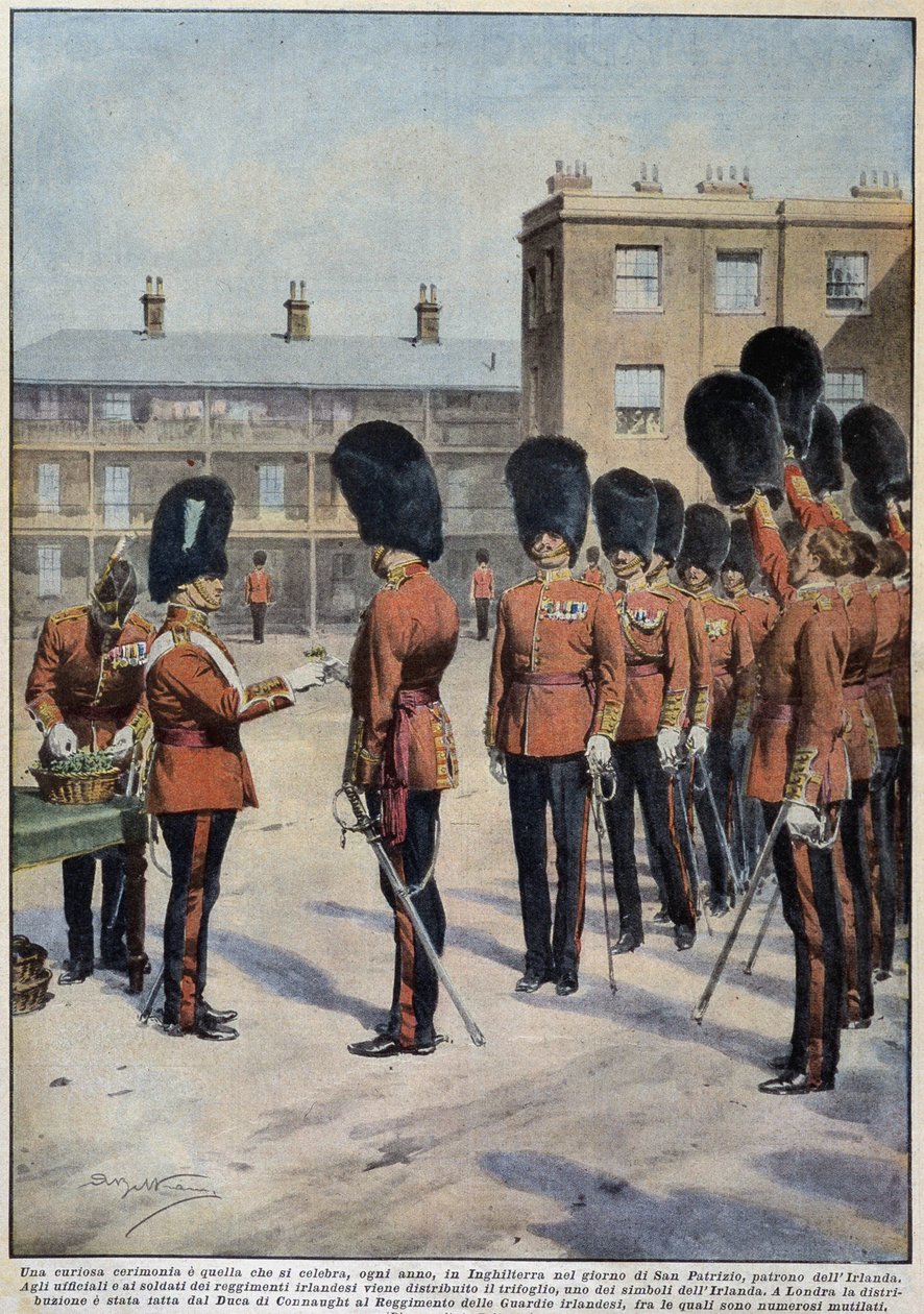 Distribution av klöver för Saint Patrick (Irlands beskyddare) av irländska regementen, England - teckning av A. Beltrame, i "La Domenica del Corriere"" av Achille Beltrame