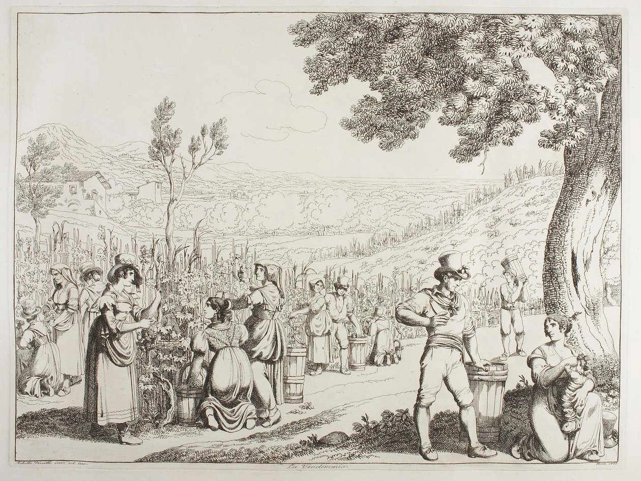Vinskörden av Achille Pinelli