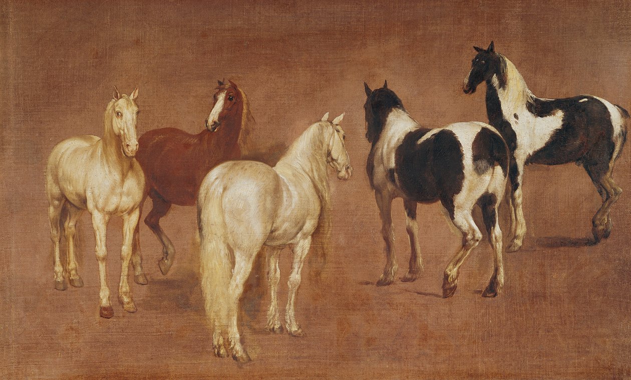 Studie av fem hästar av Adam Frans van der Meulen