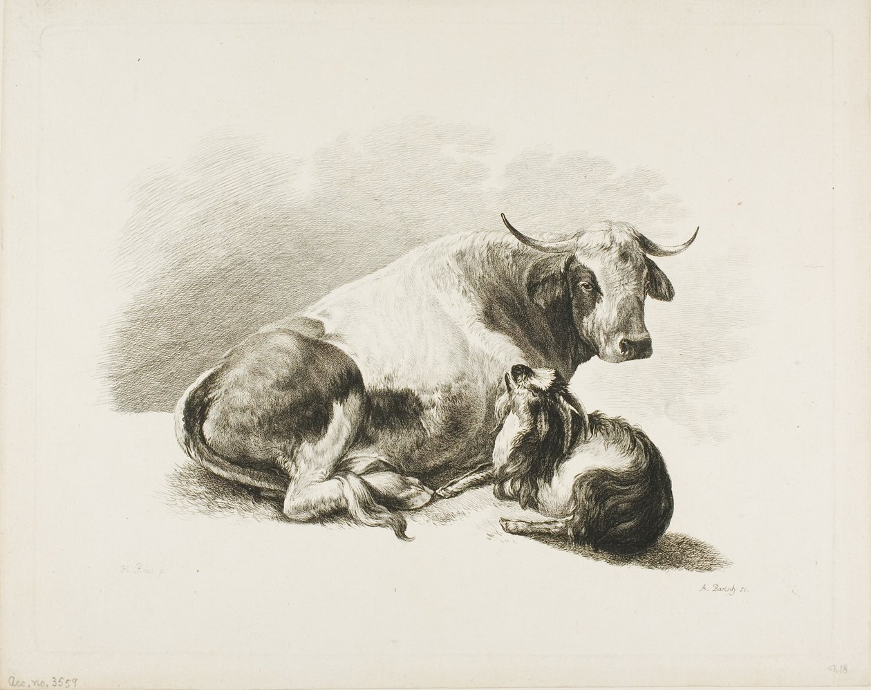 Djurstycke av Adam von Bartsch