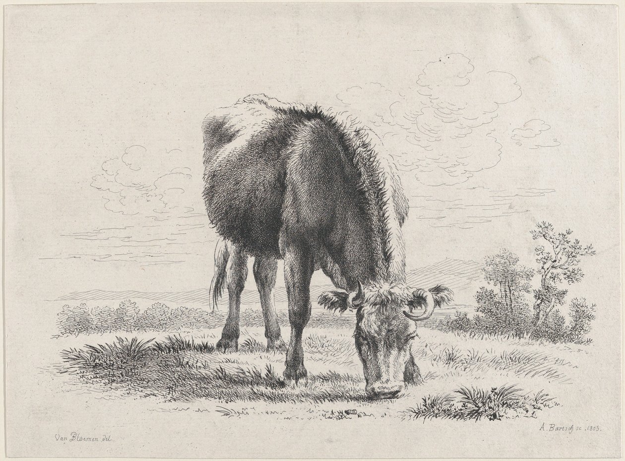 Kobete, 1805., 1805. av Adam von Bartsch