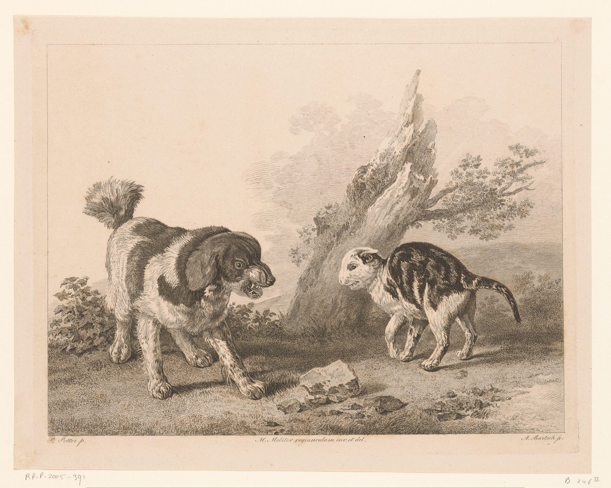 Hund och katt i stridsställning mot varandra Djur efter målningar av holländska mästare (serietitel) Différens animaux graves d