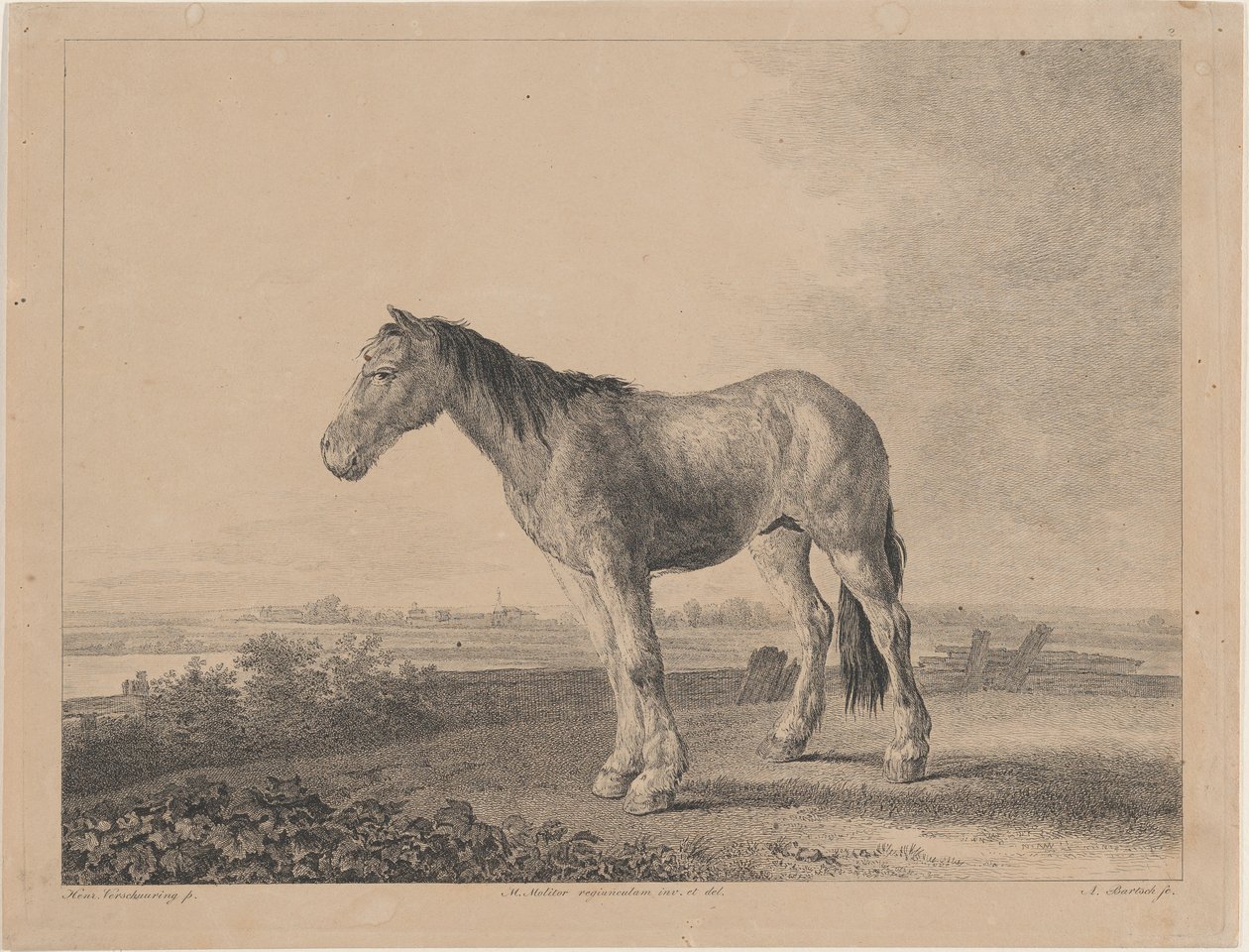 Häst stående på en åker i profil till vänster, 1809. av Adam von Bartsch
