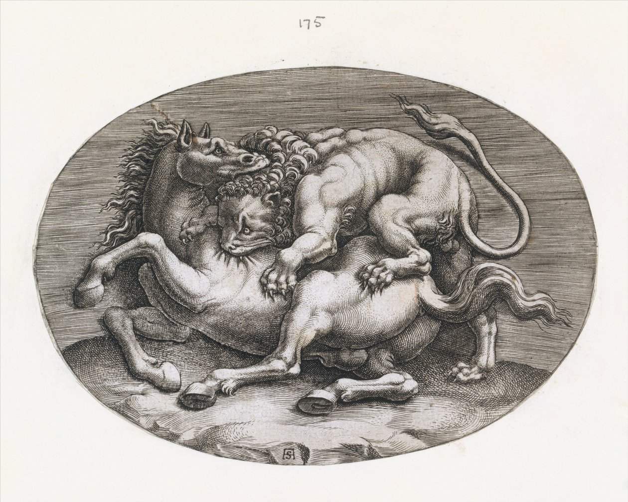 Mirror of Roman Magnificence: Lion Attacking a Horse, c1540-80. av Adamo Scultori