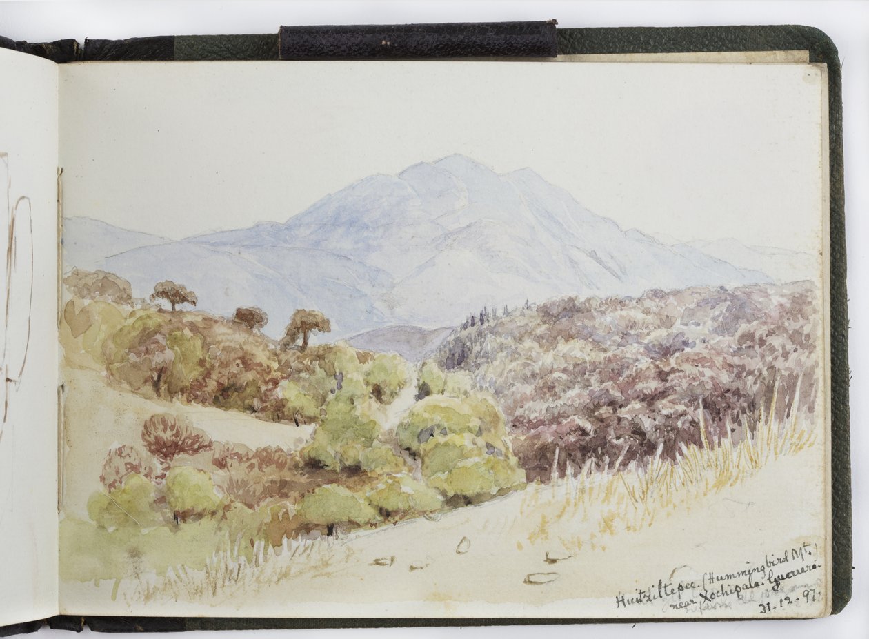 Skissbok med akvareller, teckningar och anteckningar, Mexiko, 1896-1898 (akvarell) av Adela Breton