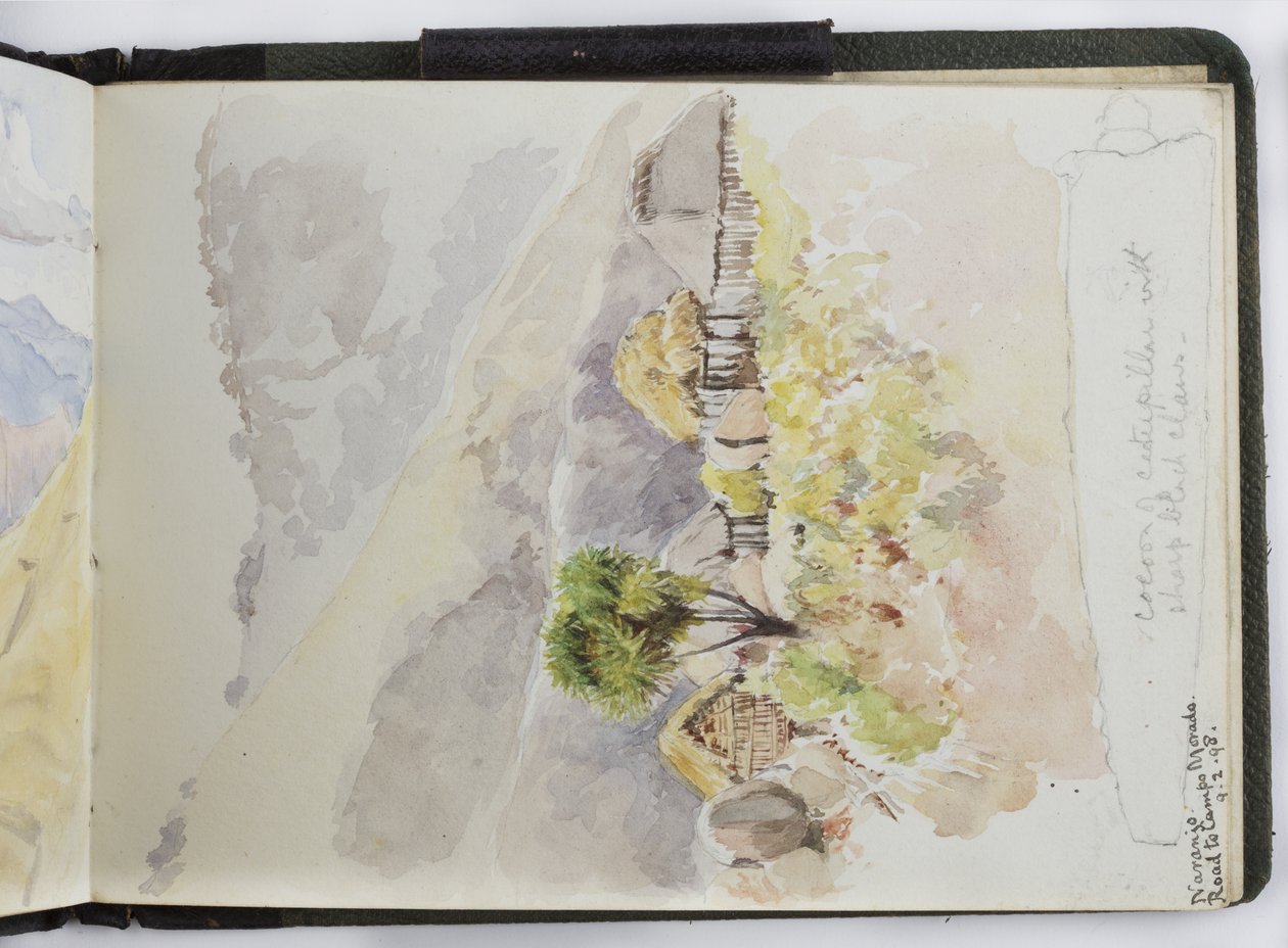 Skissbok med akvareller, teckningar och anteckningar, Mexiko, 1896-1898 (akvarell) av Adela Breton