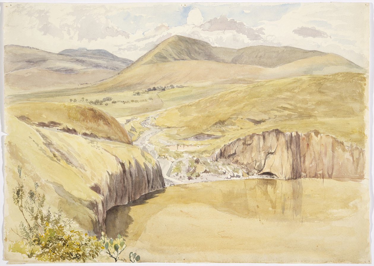 Alberea, nära Santiago del Valle, Guanajuato, Mexiko (akvarell) av Adela Breton
