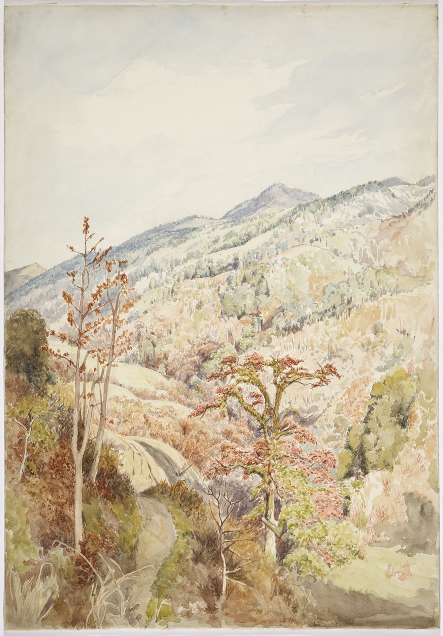 Skogbevuxen dal - Cuetzalan, Puebla, Mexikanska golfen (akvarell och grafit) av Adela Breton
