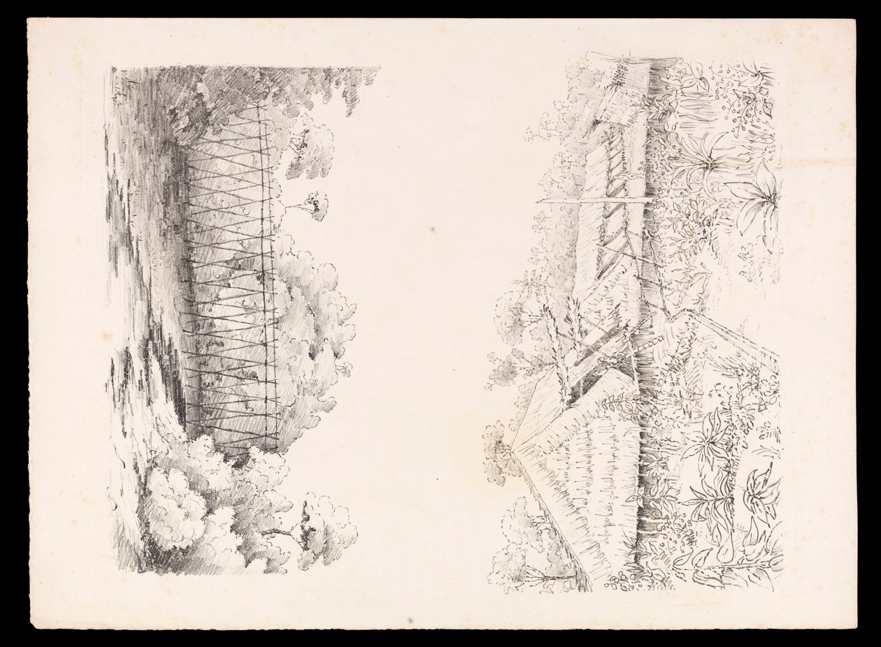 By tillhörande Stang-stammen, Sarawak, Borneo; och en bro av pålar över en flod från West Indies, North American and Borneo scrapbook, ca 1845 (litografi) av Admiral Sir Edward Gennys Fanshawe