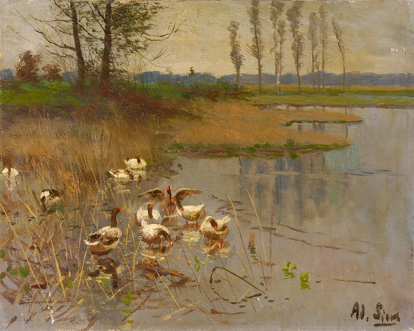 Seelandschaft mit Gansen av Adolf Lins