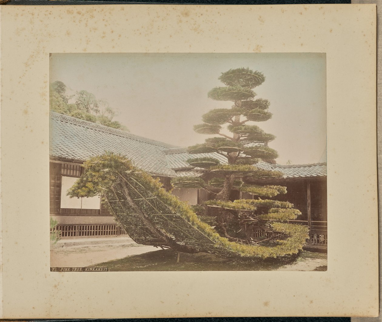 Tall, Kinkakuji av Adolfo Farsari