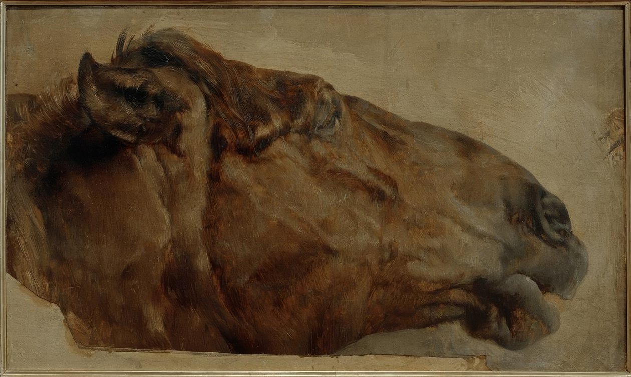 Häststudie. Huvud i sidovy till höger av Adolph Menzel