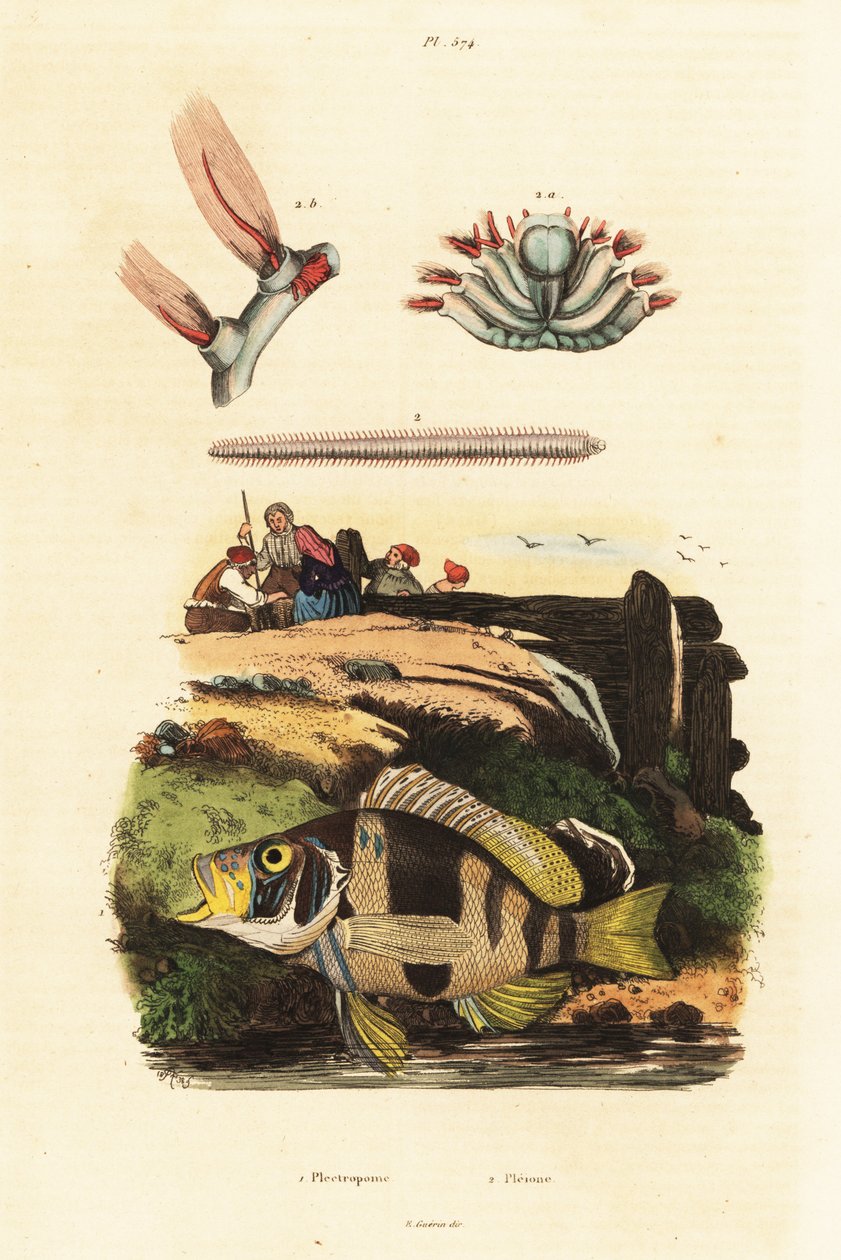 Avspärrad by och havsmöss. av Adolph (after) Fries