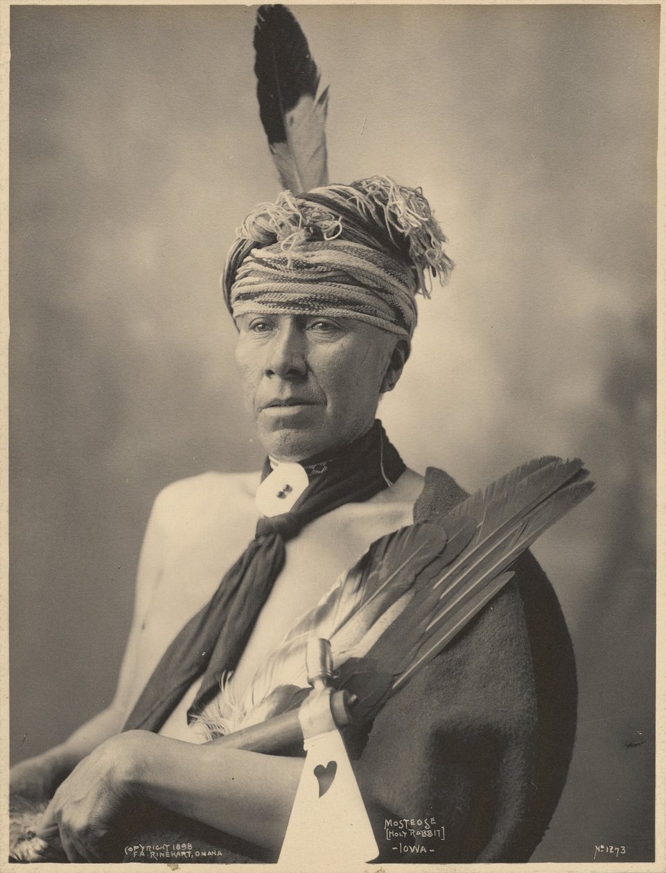 Mosteose (helig kanin), Iowa av Adolph F. Muhr
