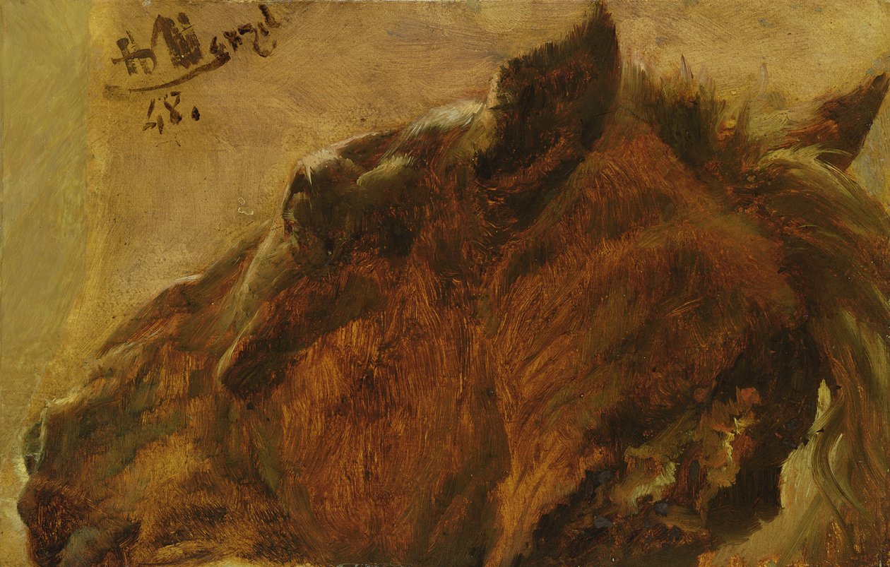 Head of a Dead Horse, 1848 (olja på papper monterad på duk) av Adolph Menzel