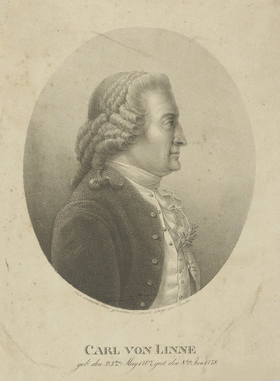 Porträtt av Carl Linné 1707-1778, ca. 1800. av Adolph Friedrich Kunike