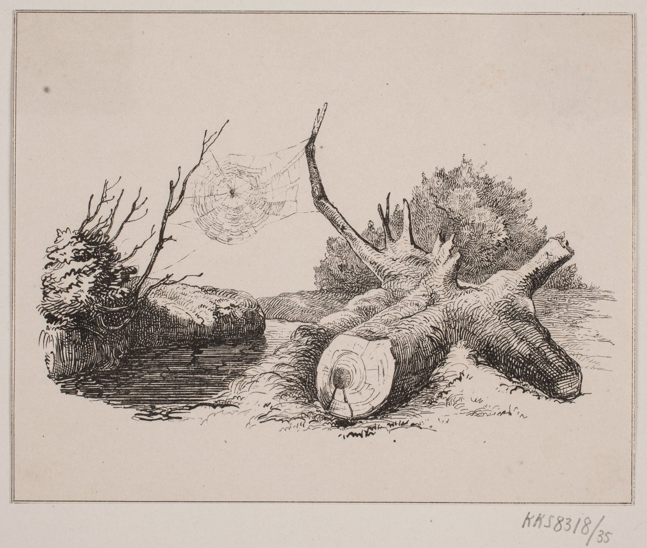 Ederkoppen av Johan Adolph Kittendorff