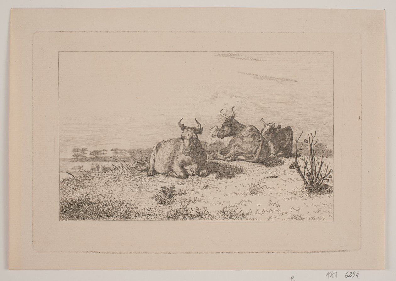 Vilande kor av Johan Adolph Kittendorff