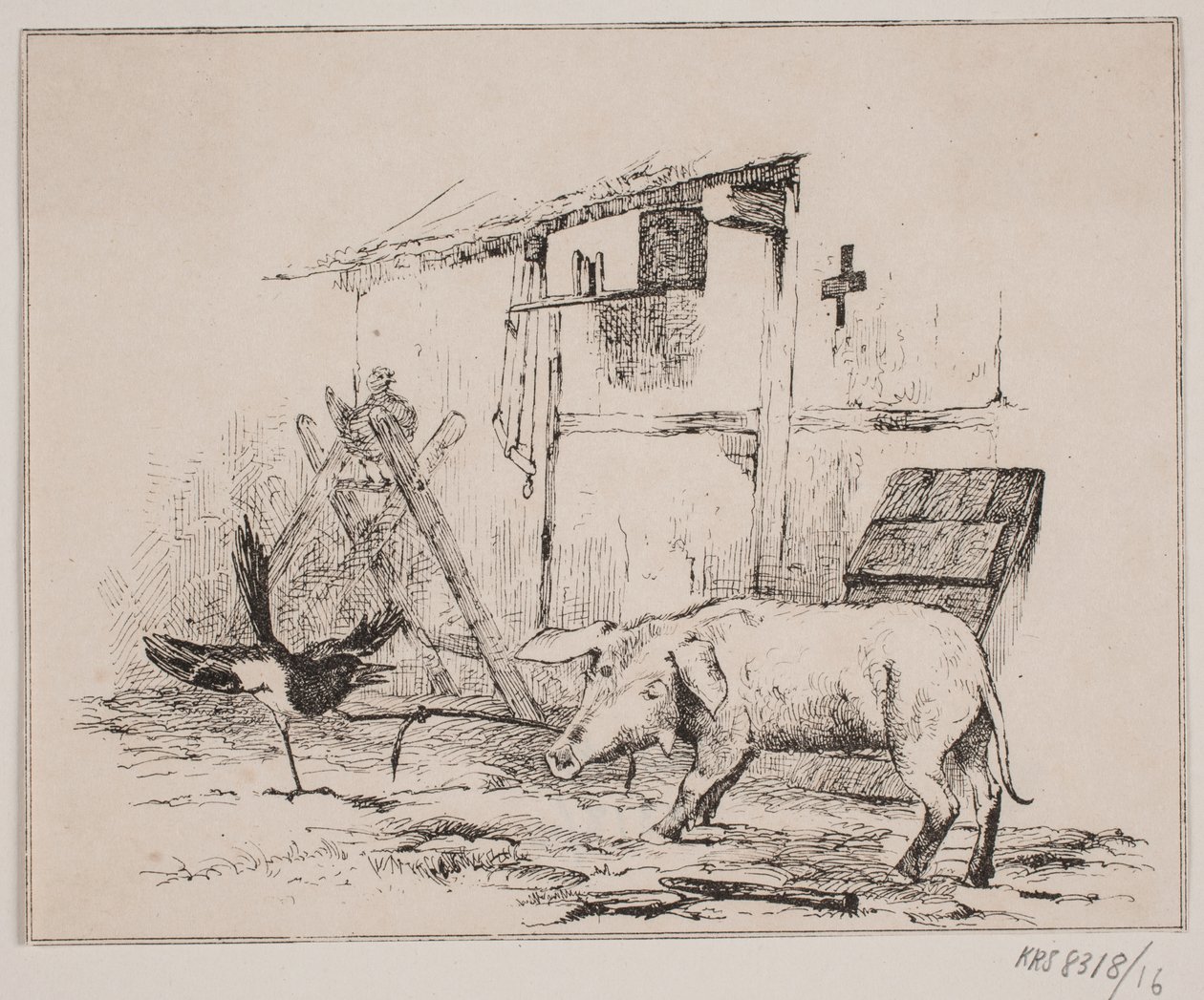 Skadan och grisen av Johan Adolph Kittendorff