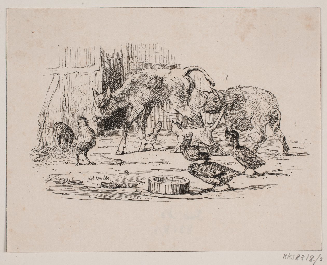 Bebiskalven av Johan Adolph Kittendorff