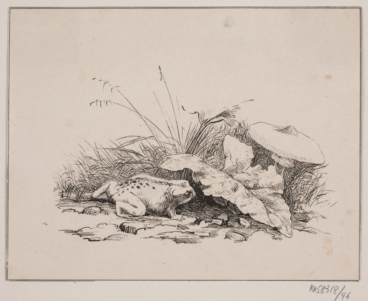 Paddan av Johan Adolph Kittendorff
