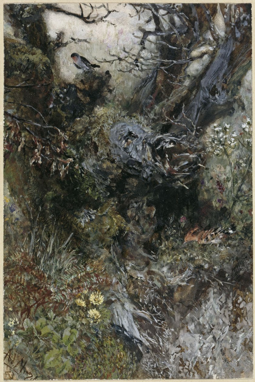 Trädstubbe med rödhake och härfågel. Ur ”Barnalbumet” av Adolph Menzel