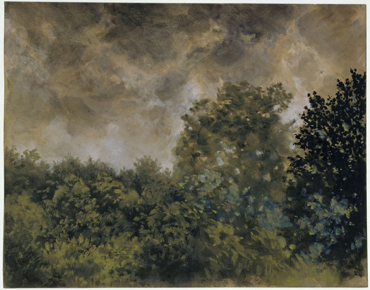 Utsikt över lövskog av Adolph Menzel