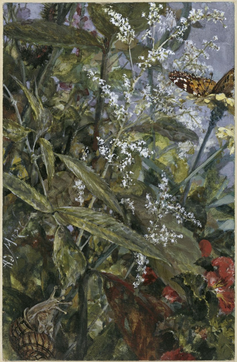 Blommor med en fjäril och en snigel. Ur ”Barnalbumet” av Adolph Menzel