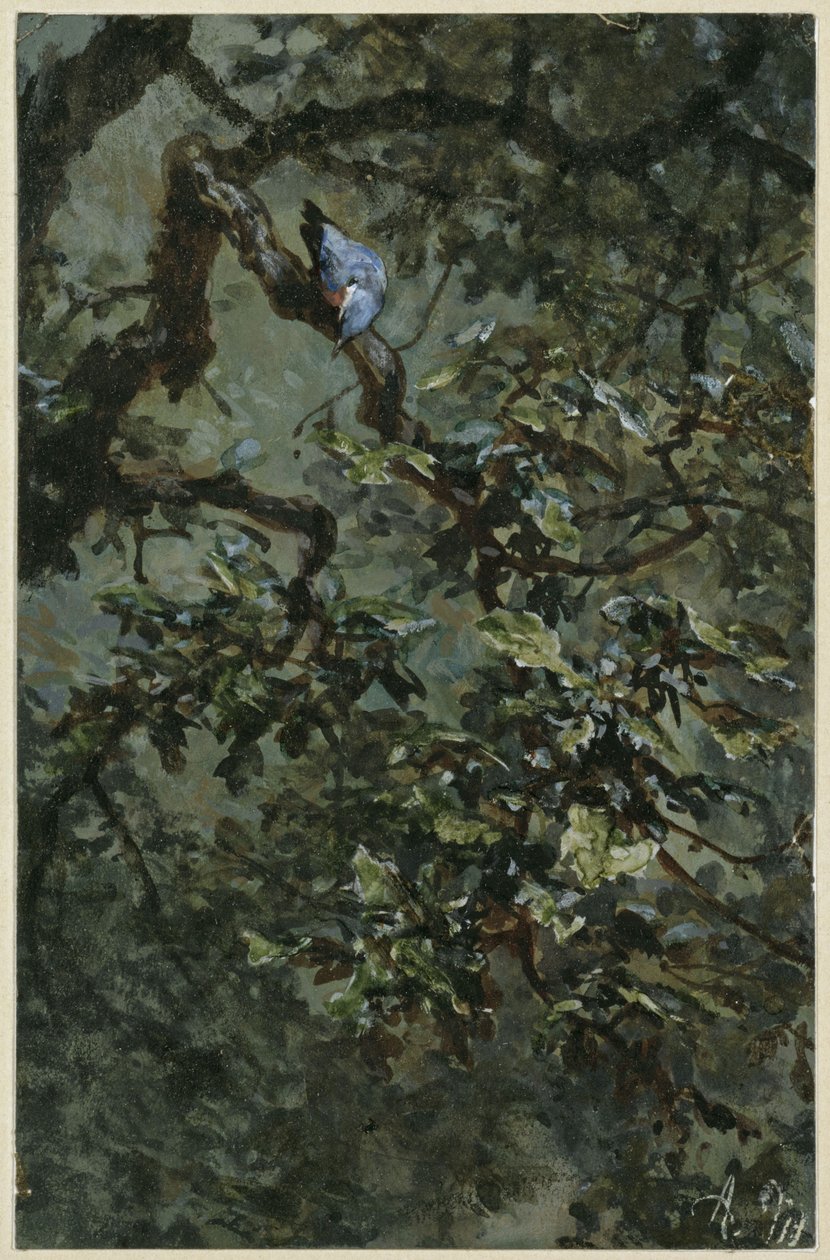 Den blå hackspetten i lövverket. Ur "Barnalbumet" av Adolph Menzel