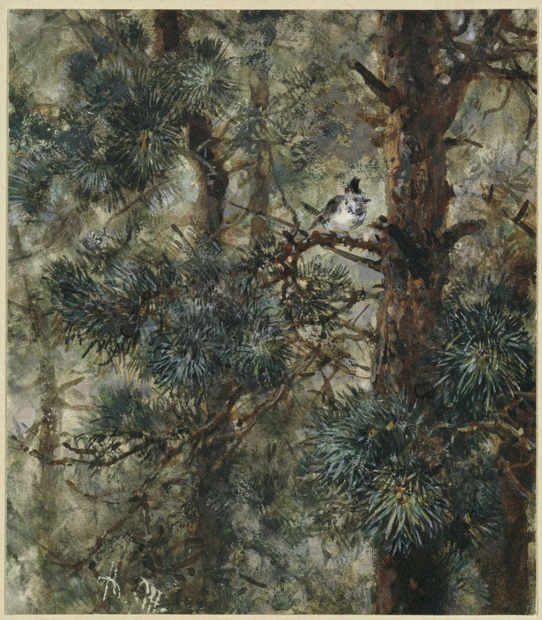 Huvudmesen i tallens grenar. Ur ”Barnalbumet” av Adolph Menzel
