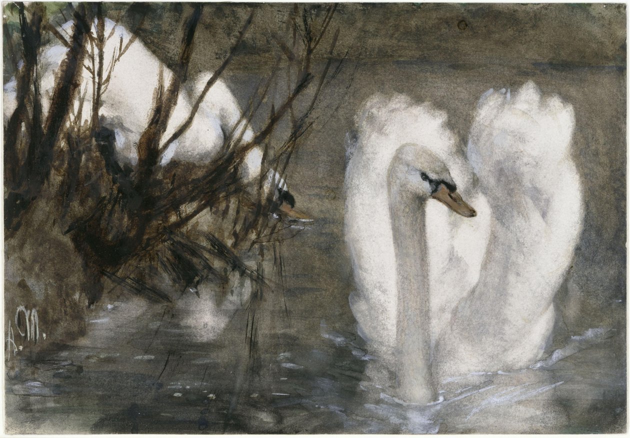 De två svanarna. Ur "Barnalbumet" av Adolph Menzel