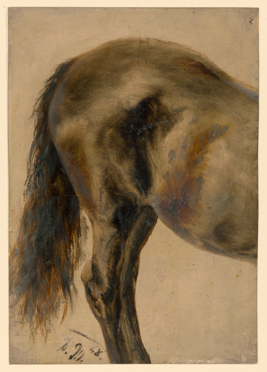 En hästs bakdel i profil av Adolph Menzel