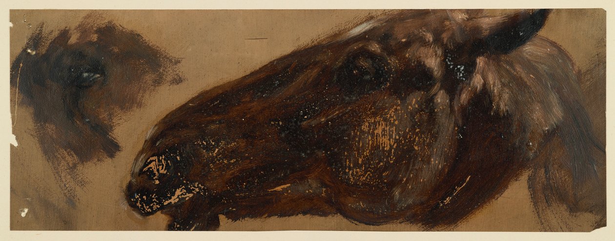 Hästens huvud vänd åt vänster, ögonområdet upprepas av Adolph Menzel
