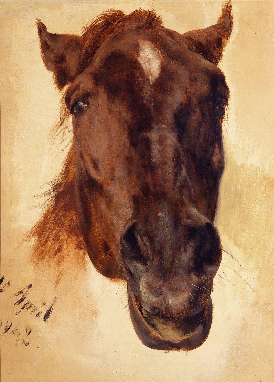 Hästhuvud av Adolph Menzel