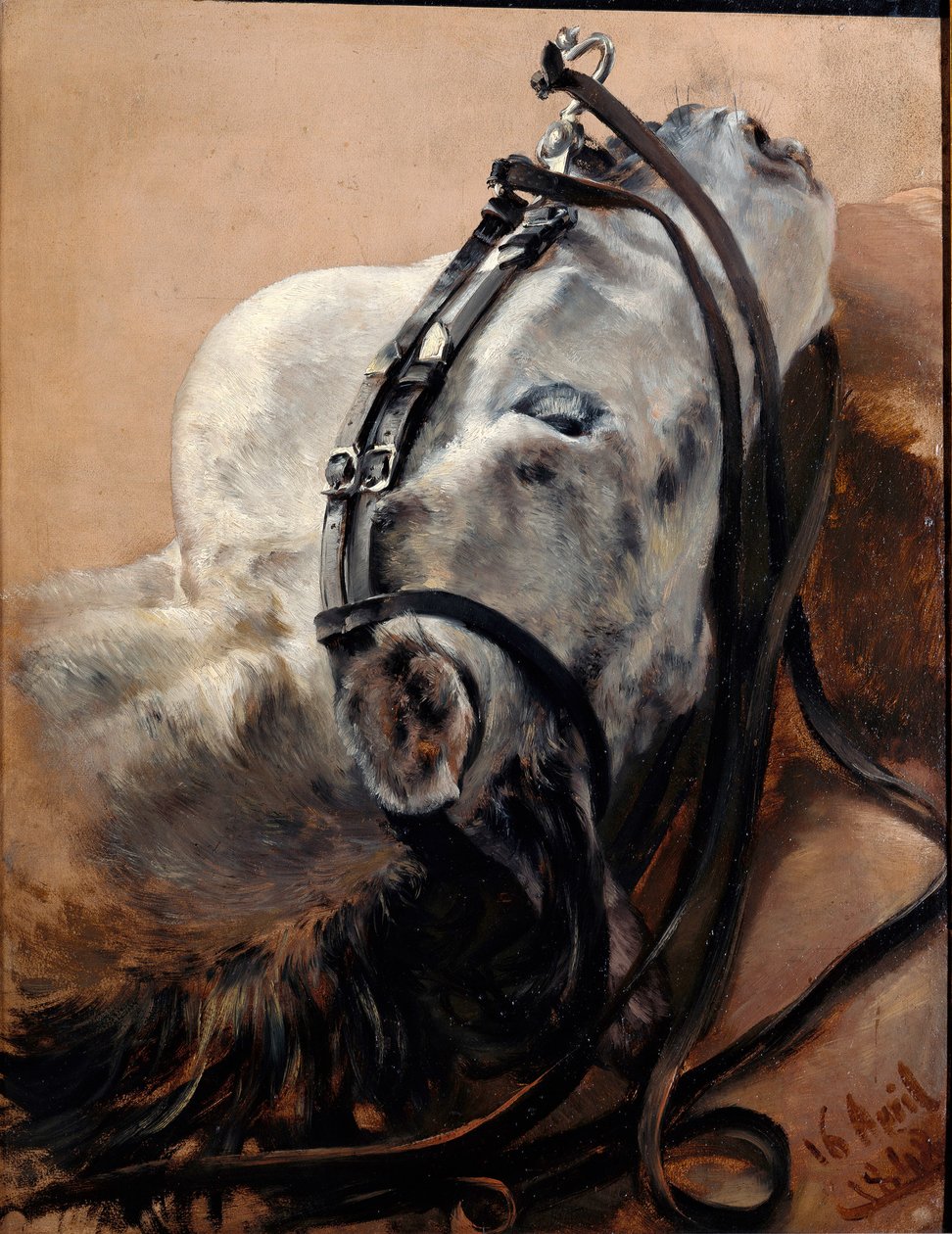 Häststudie. Huvudet ligger ned, med selen på av Adolph Menzel