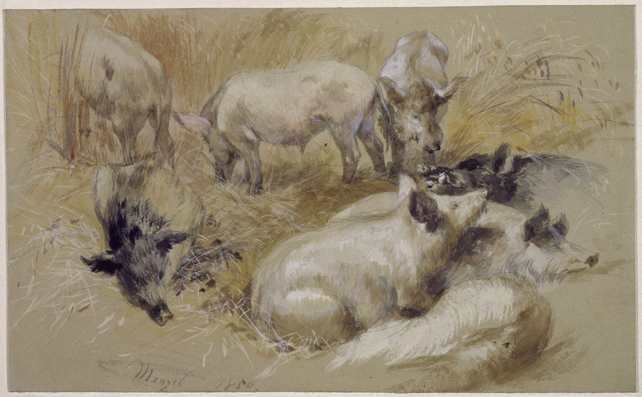 Grisar i ett sädesfält av Adolph Menzel
