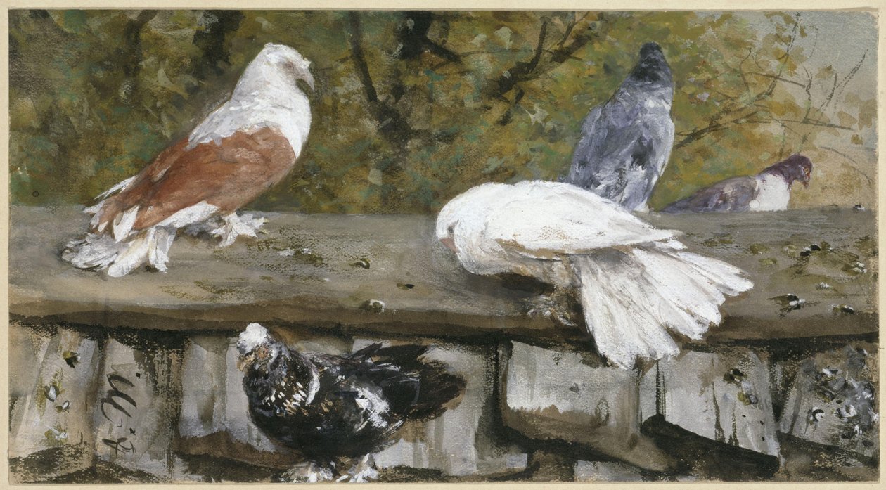 Duvor på ett trätak. Ur ”Barnalbumet” av Adolph Menzel