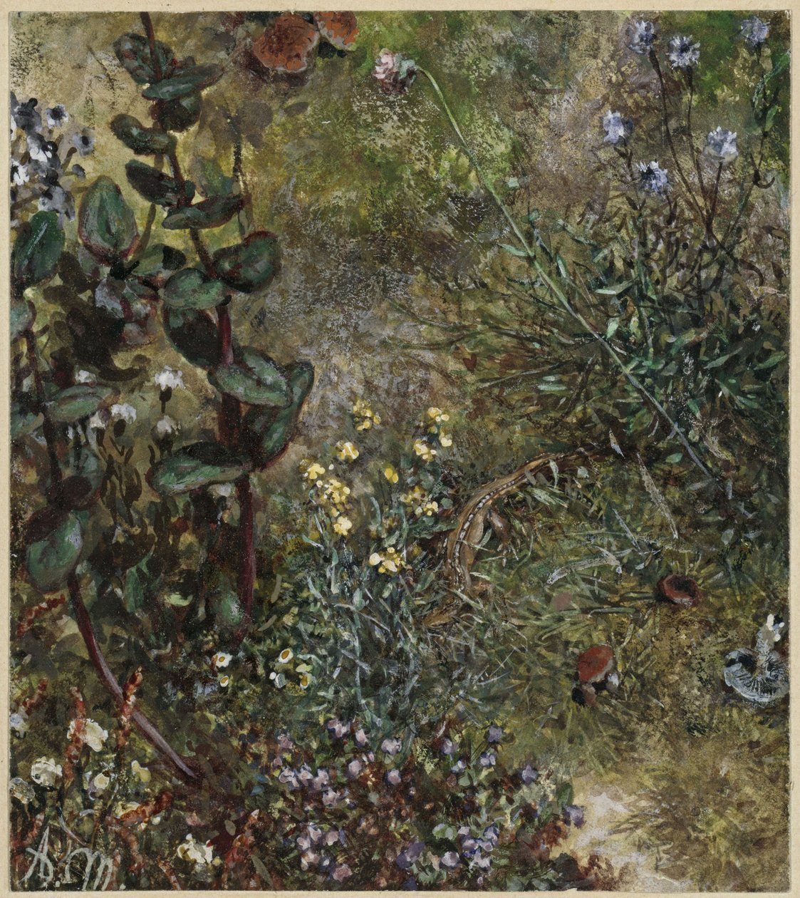 Skogsmark med en ödla. Ur ”Barnalbumet” av Adolph Menzel
