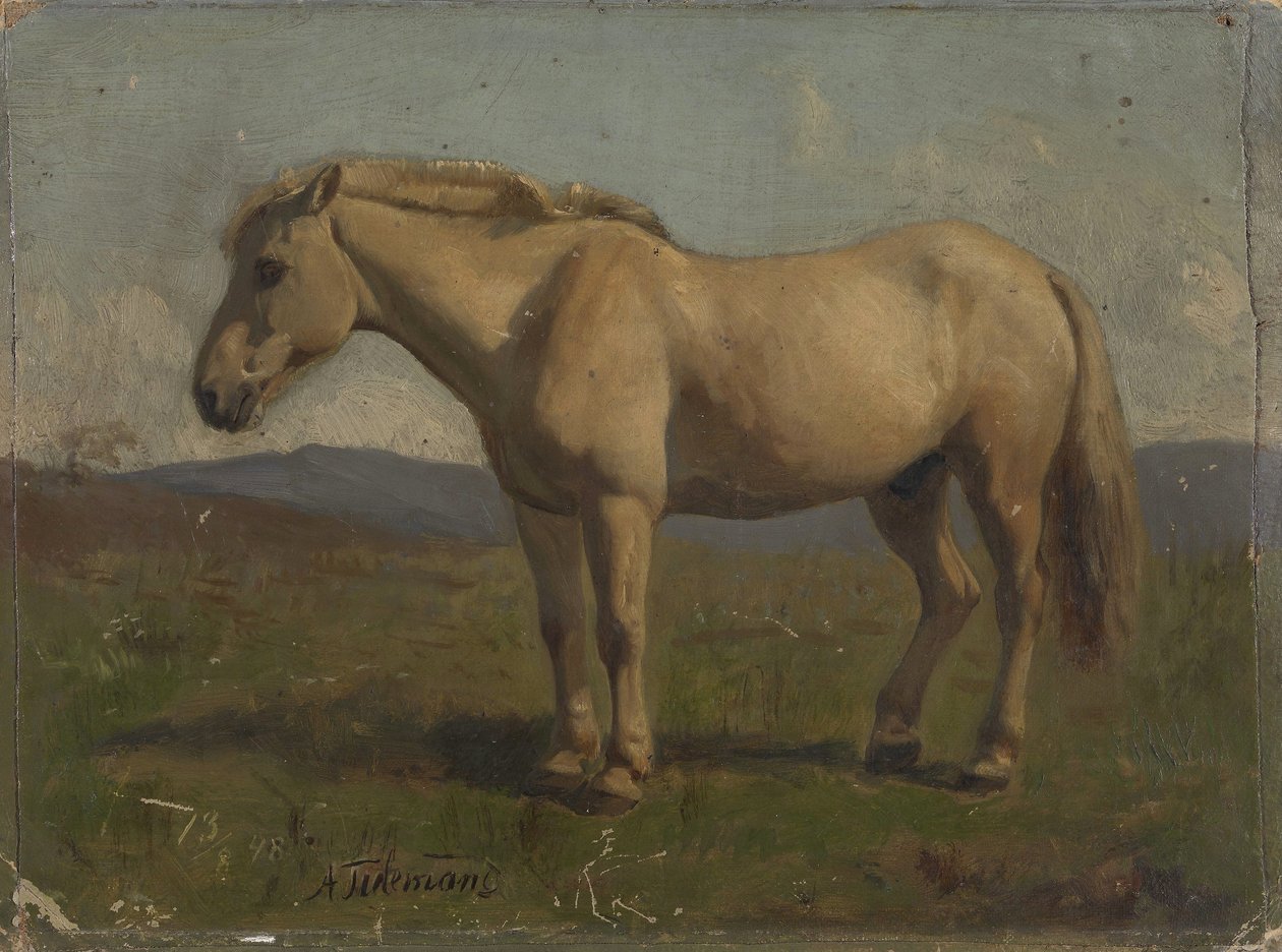 En gråbrun häst av Adolph Tidemand