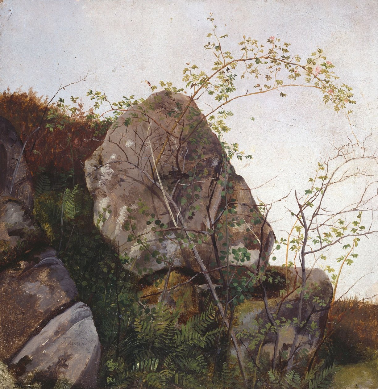 Blommande vildrosor och ormbunkar av Adolph Tidemand